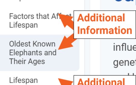L’aggiornamento dell’IA di Bing renderà felici i proprietari di siti