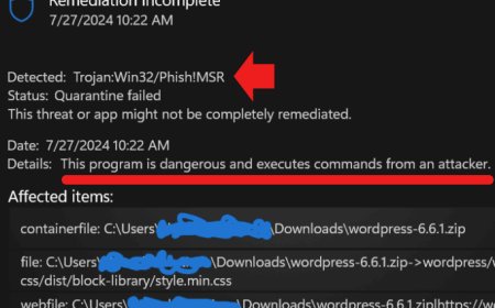 WordPress 6.6.1 segnalato per presenza di malware Trojan