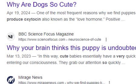 Il consiglio di Google sui favicon può fare la differenza: ecco come